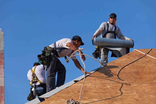 Best Gutter Installation and Roofing  in Bellwood, PA